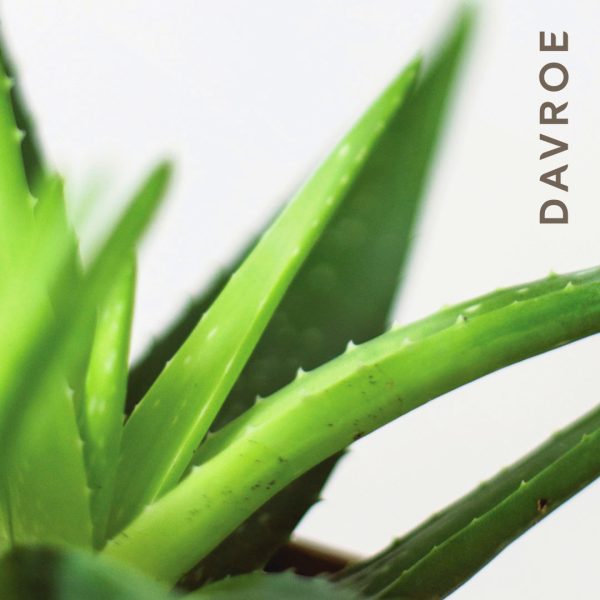 Scalp Remedy Conditioner - Image 2