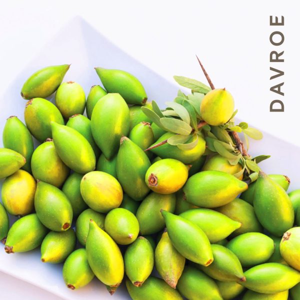 Argan Oil - Image 4