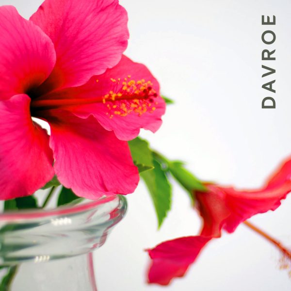 Repair Senses Revitalising Shampoo - Image 2